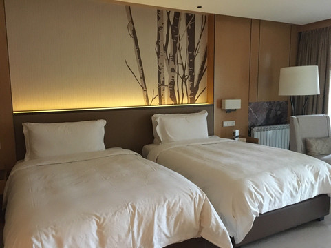 金方森林温泉半山酒店主图