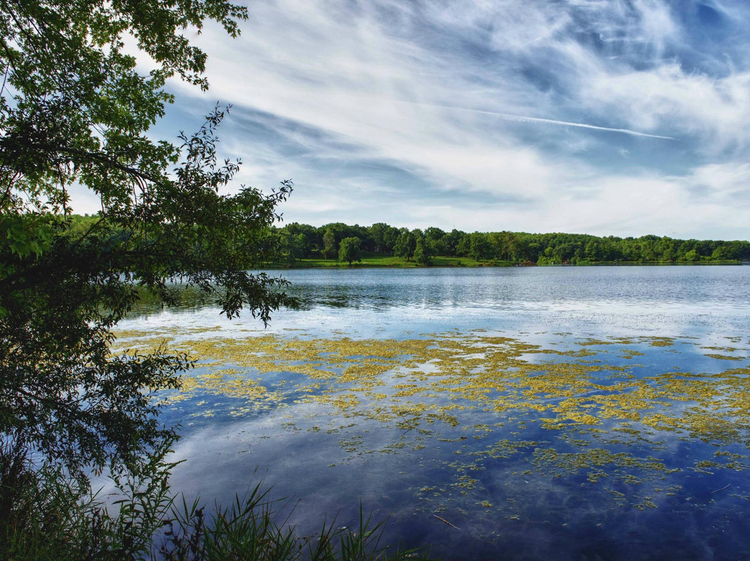 Loves Park旅游攻略图片