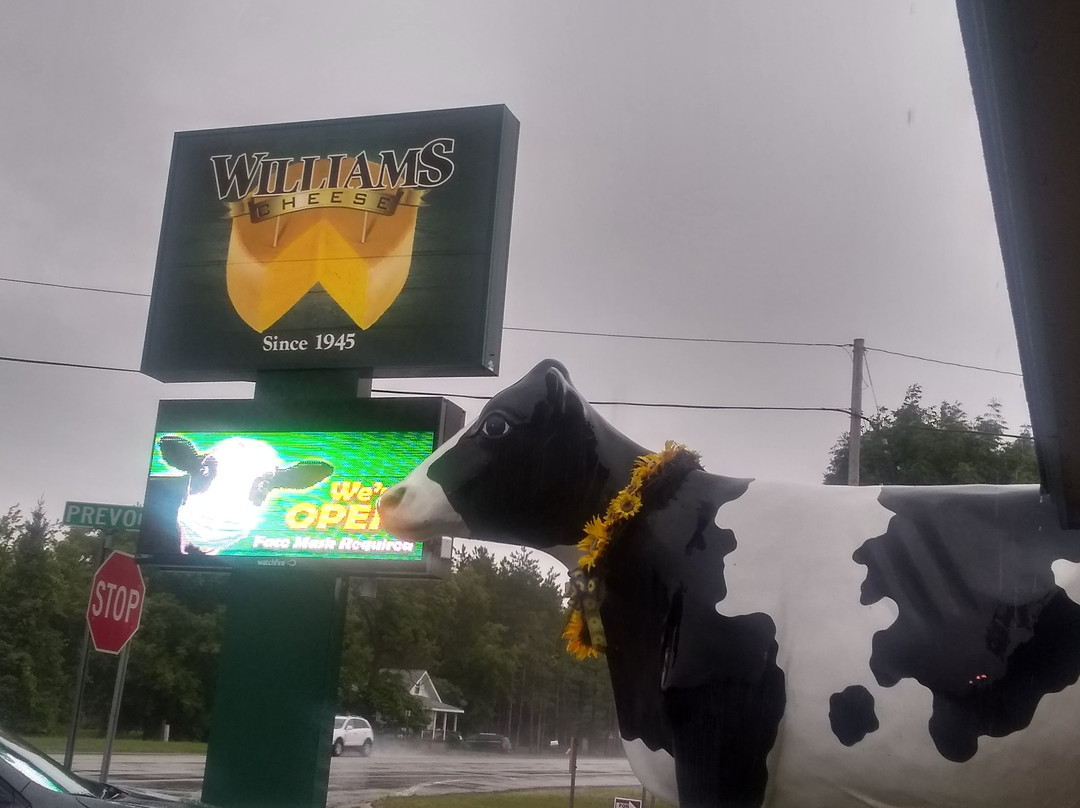 Williams Cheese Factory Outlet景点图片