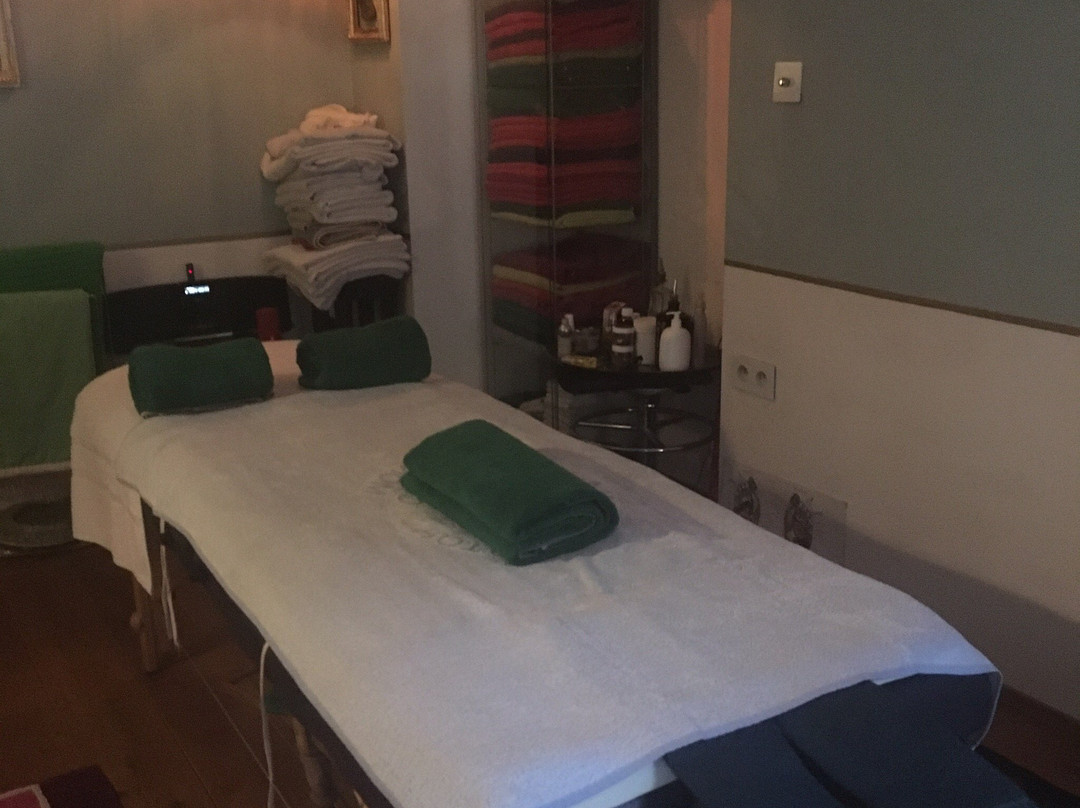 Massage Chamonix景点图片