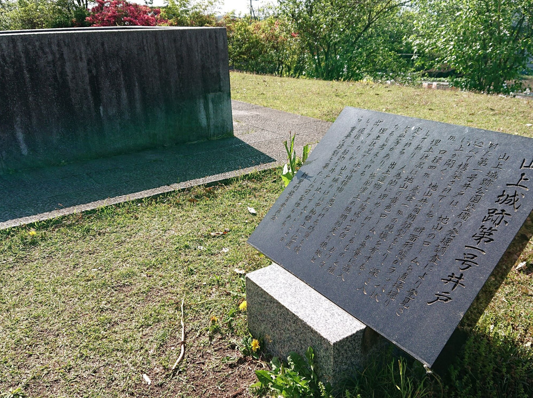 Yamagami Castle Park景点图片