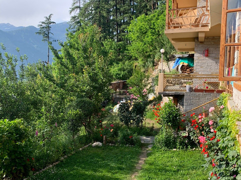 OYO 36651 Chander Lata Cottage