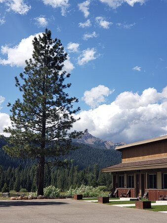 The Village at Childs Meadow主图