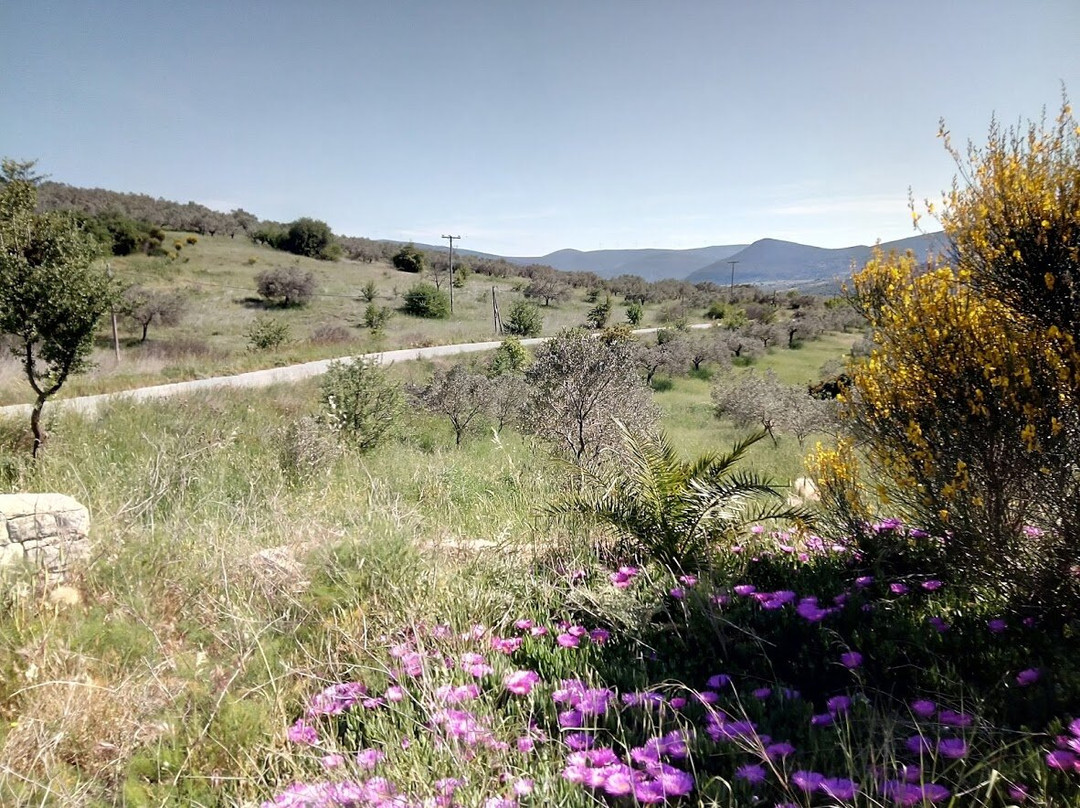 Tyrokomio Katsouli-Koliaki必去景点