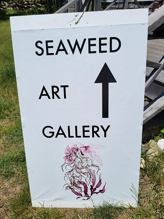 Corinna Kaufman Seaweed Art Gallery景点图片
