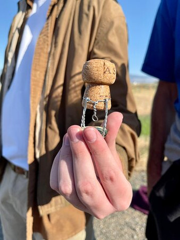 Balloon Nevada-Gardnerville必去景点