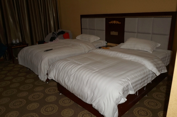 西行林卡客栈-客卧