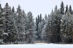 Mardseleforsen-Amsele必去景点