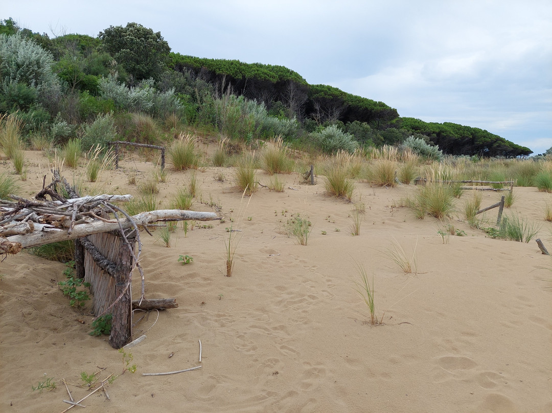 Bibione Spiaggia景点图片
