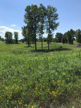 Lake Elmo Park Reserve-Lake Elmo必去景点