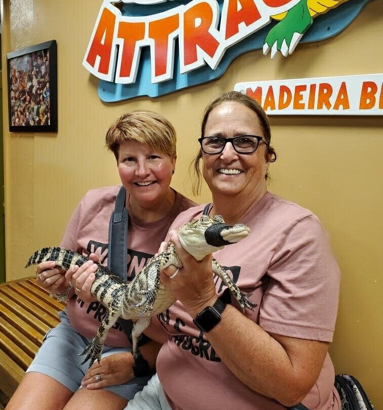 Tampa Bay Rescues-马德拉海滩必去景点