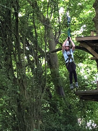 Raven Tree Top Adventure景点图片