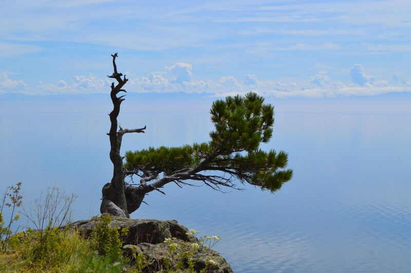 Dialan Baikal景点图片