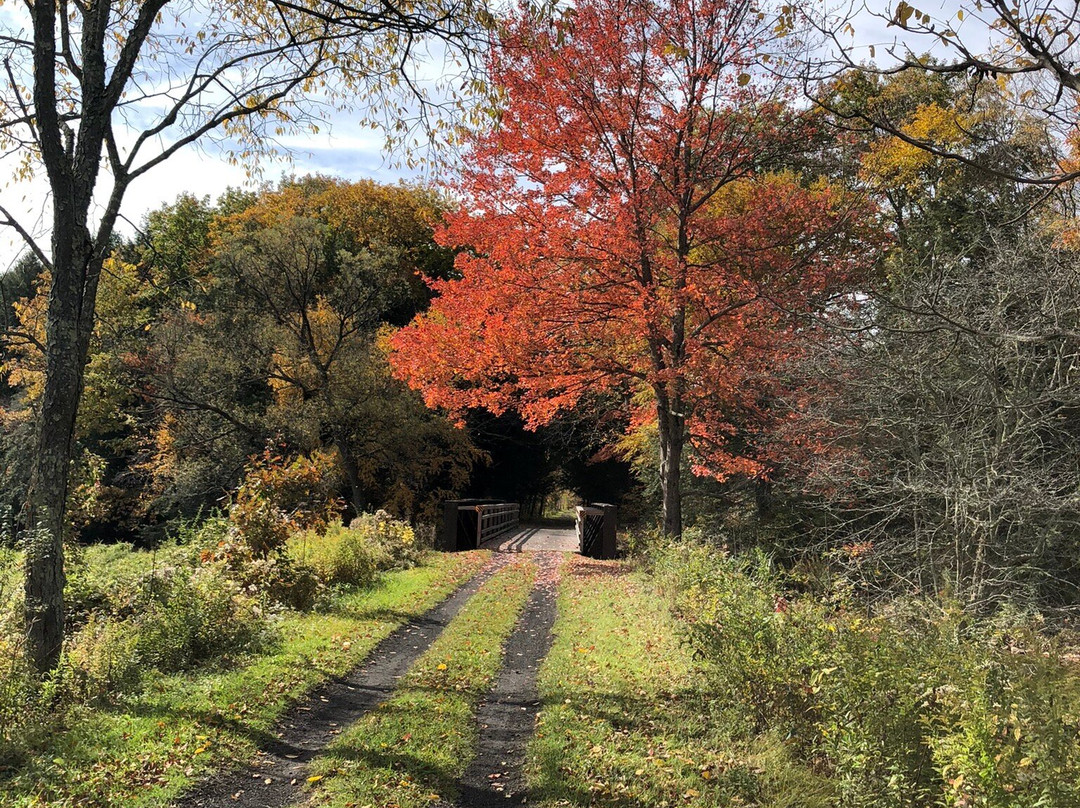 Catskill Scenic Trail
