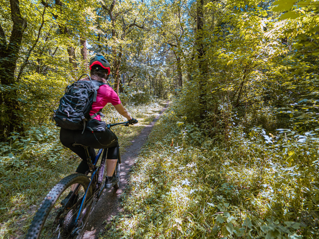 Boo Mountain Bike Park-Vanadzor必去景点