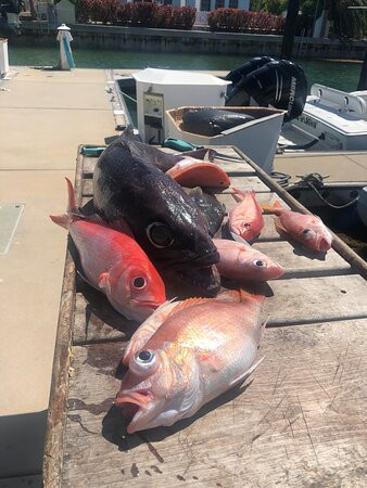 Island Roots-普罗维登西亚莱斯必去景点