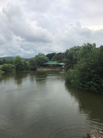 Dodo Wildlife Park景点图片