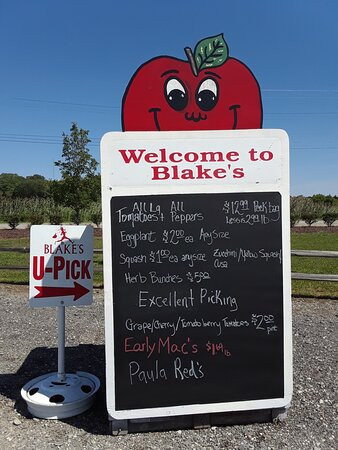 Blake's Orchard & Cider Mill-Armada必去景点