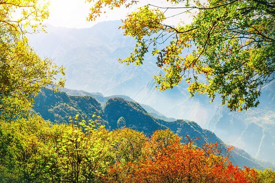 少华山国家森林公园景点图片
