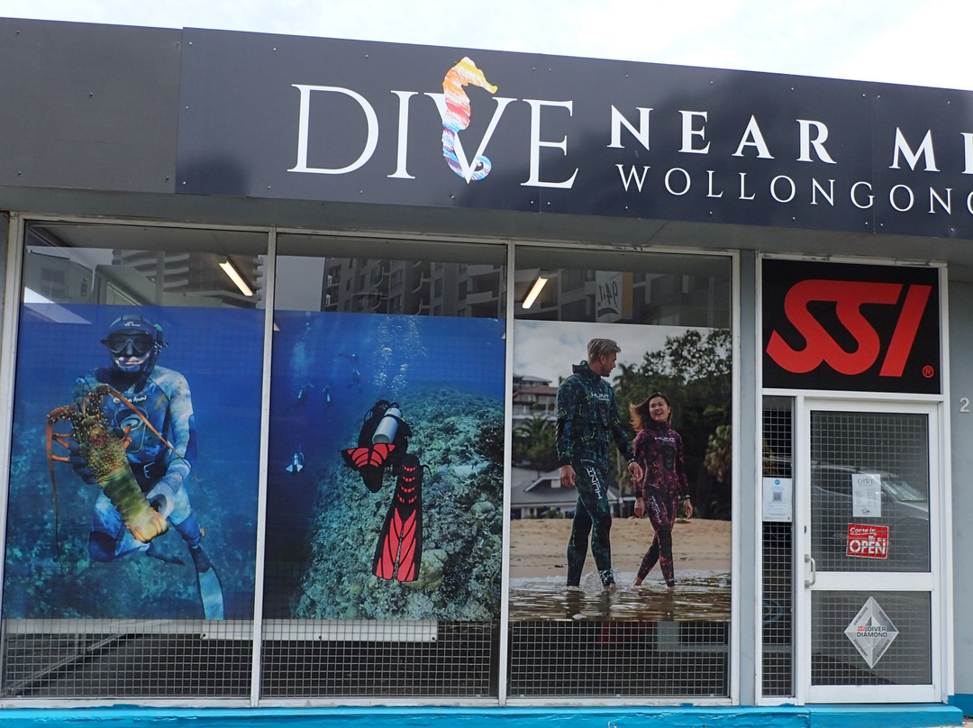 Dive Near Me-卧龙岗市必去景点