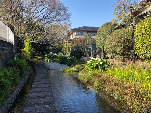 三岛市旅游攻略图片