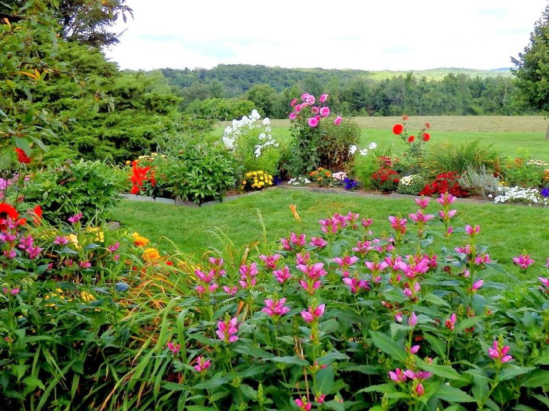 利奇菲尔德旅游攻略图片