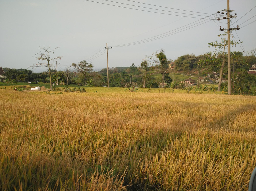 Pandaan旅游攻略图片