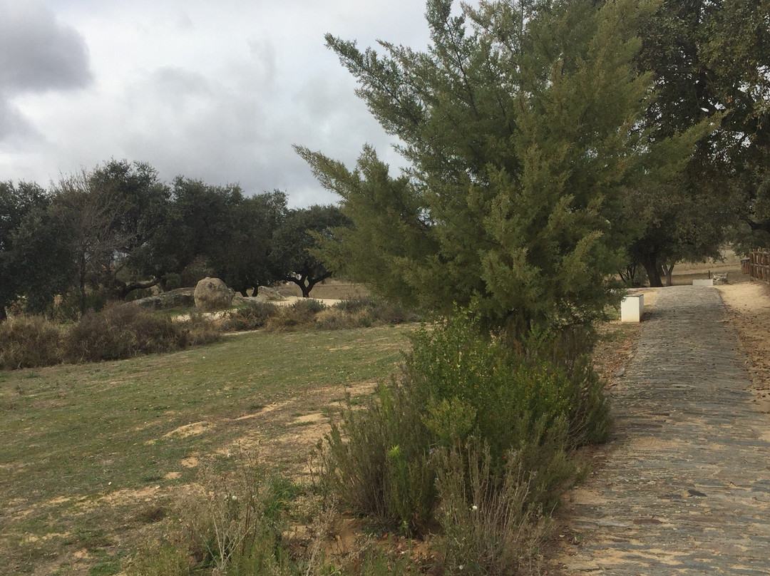 Sao Pedro do Corval旅游攻略图片