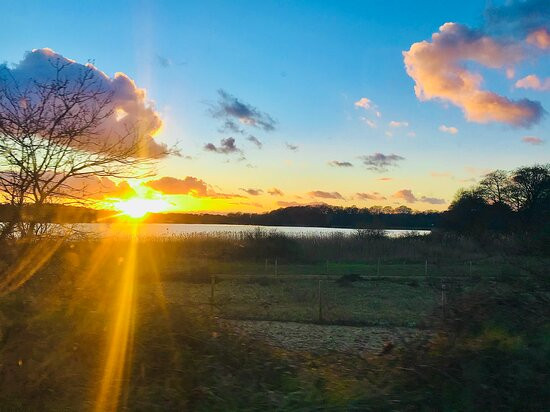 Frensham Great Pond and Common景点图片