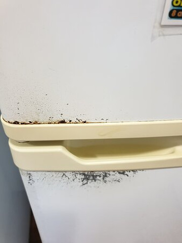 丽晶海滩酒店主图