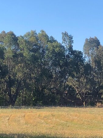 Visit Wangaratta-Wangaratta必去景点