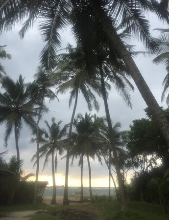 Medawatta Beach-马塔拉必去景点