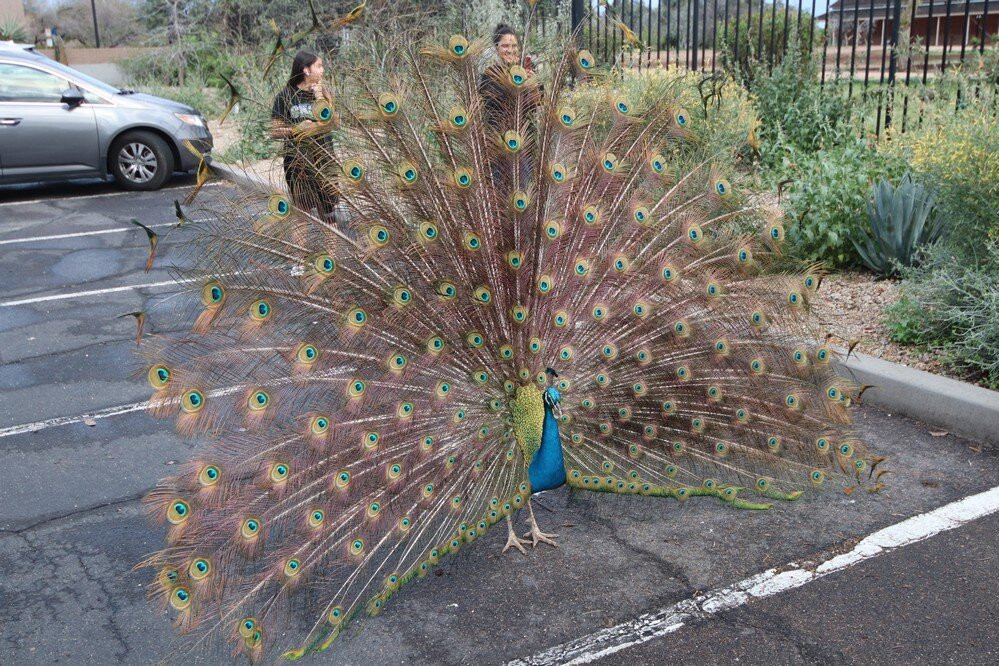 Glendale Public Library-格兰岱尔必去景点