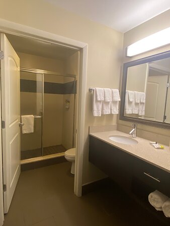Staybridge Suites St. Petersburg Downtown, an IHG Hotel-浴室