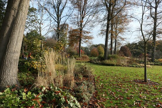 Arboretum Wespelaar景点图片