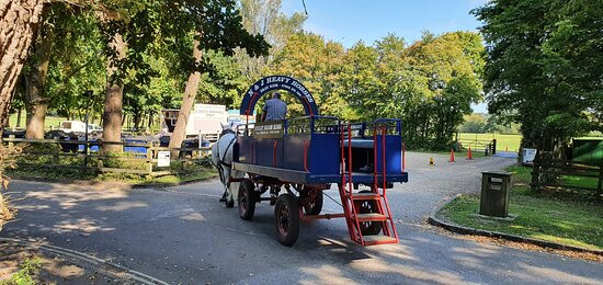 Burley Wagon Rides景点图片