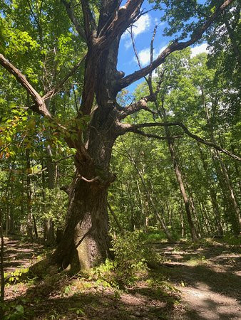 Boone Hollow Wildlife Preserve-Dover必去景点