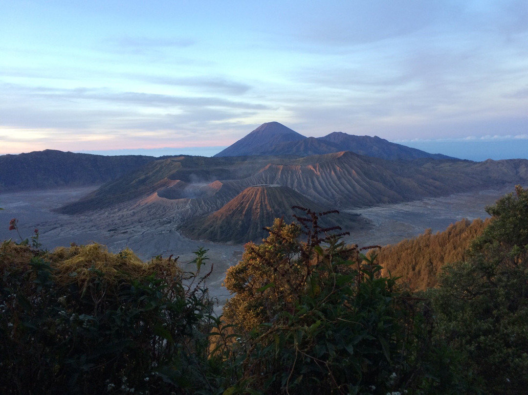 Jendela Wisata-玛琅必去景点