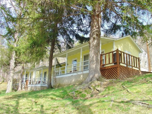 Pine Tree Lodge