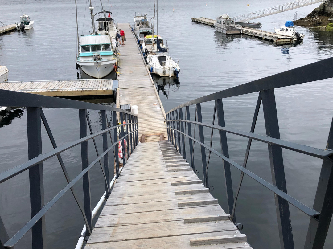Savary Island Water Taxi-Savary Island必去景点