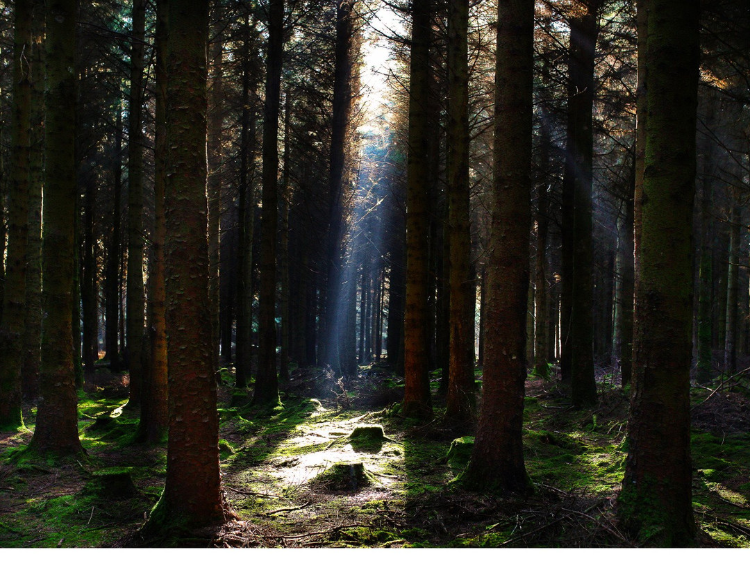 Glencullen旅游攻略图片