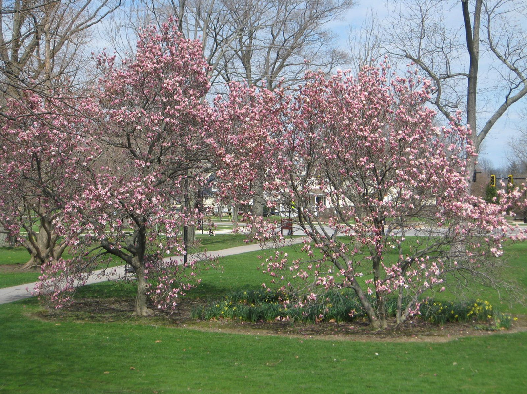 Tappan Square景点图片