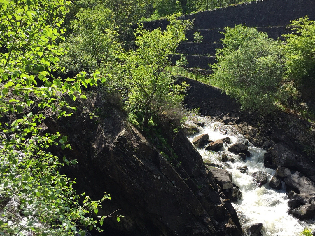 Trossachs Trail Loop-Trossachs必去景点