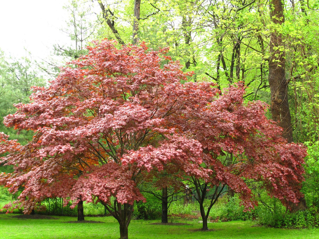 Pocantico Hills旅游攻略图片