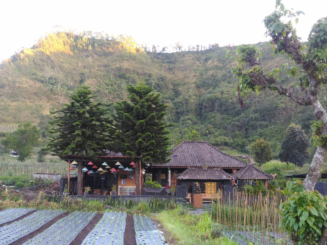 Bunbulan Hill Hostel