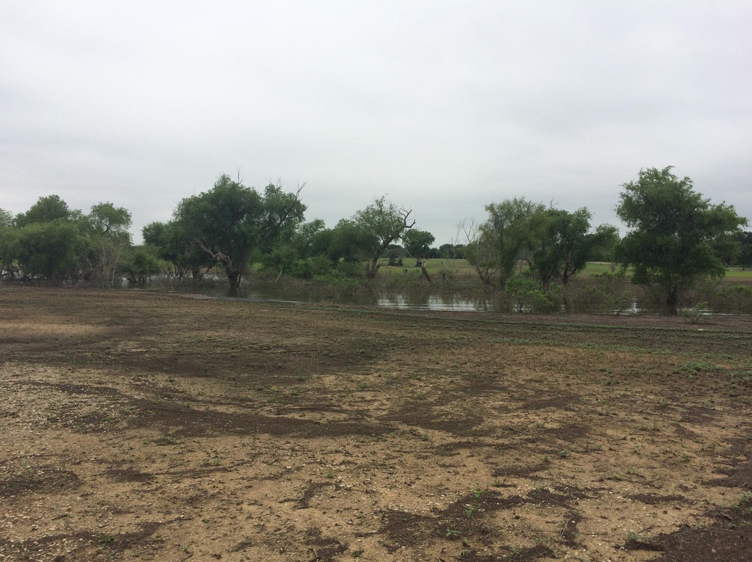 Meadowmere Park-葡萄藤必去景点