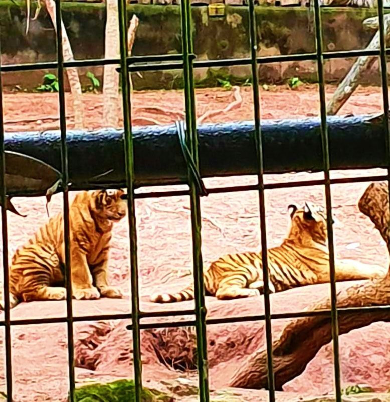 Zooparque-Itatiba必去景点