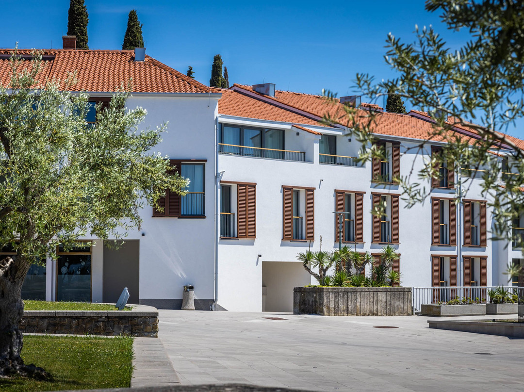 Hotel Vile Park Premium