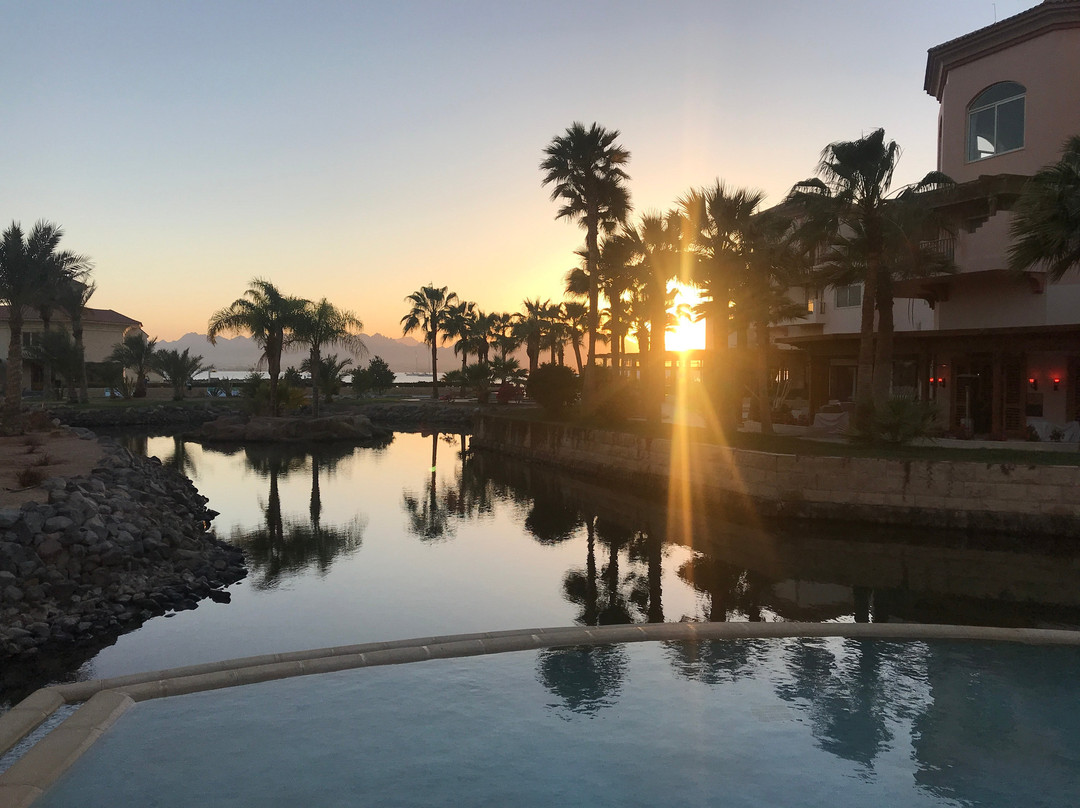 Safaga餐馆和美食-Laguna Club Lounge