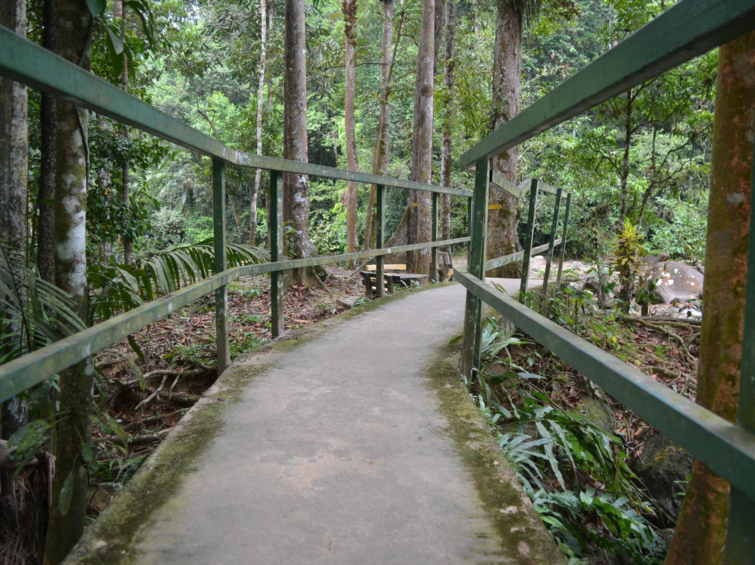 Hutan Lipur Sungai Bantang景点图片